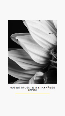 Хрустящие лепестки white modern-simple