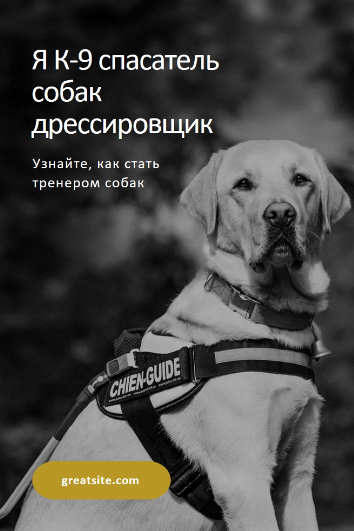 Я спасательная собака дрессировщик black modern-simple