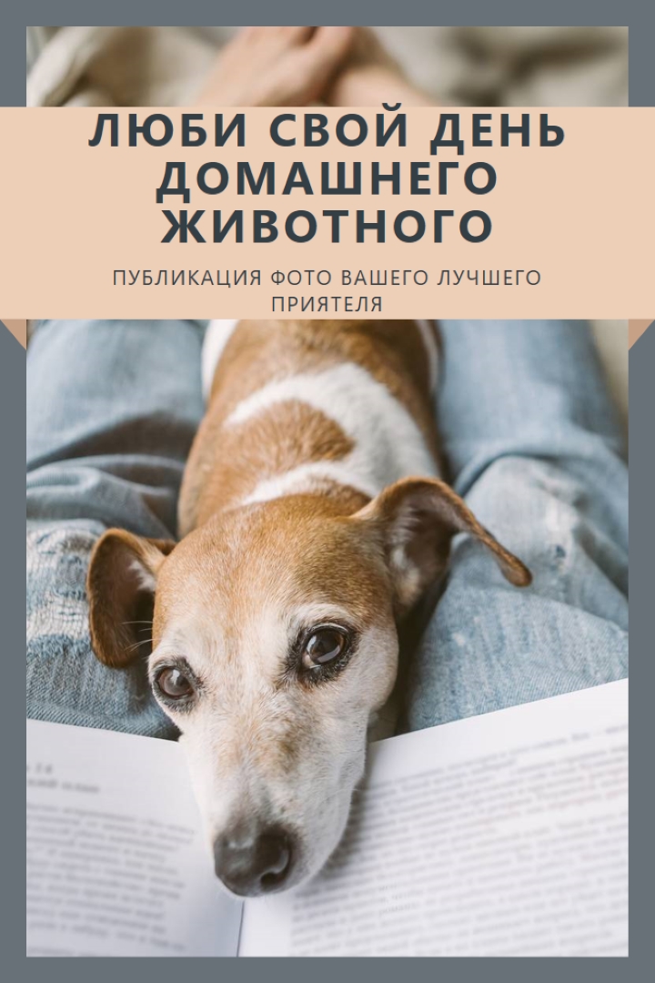 Ваш лучший приятель gray modern-simple