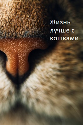 Жизнь лучше с кошками brown modern-simple