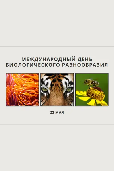 Оживление природы gray modern-simple