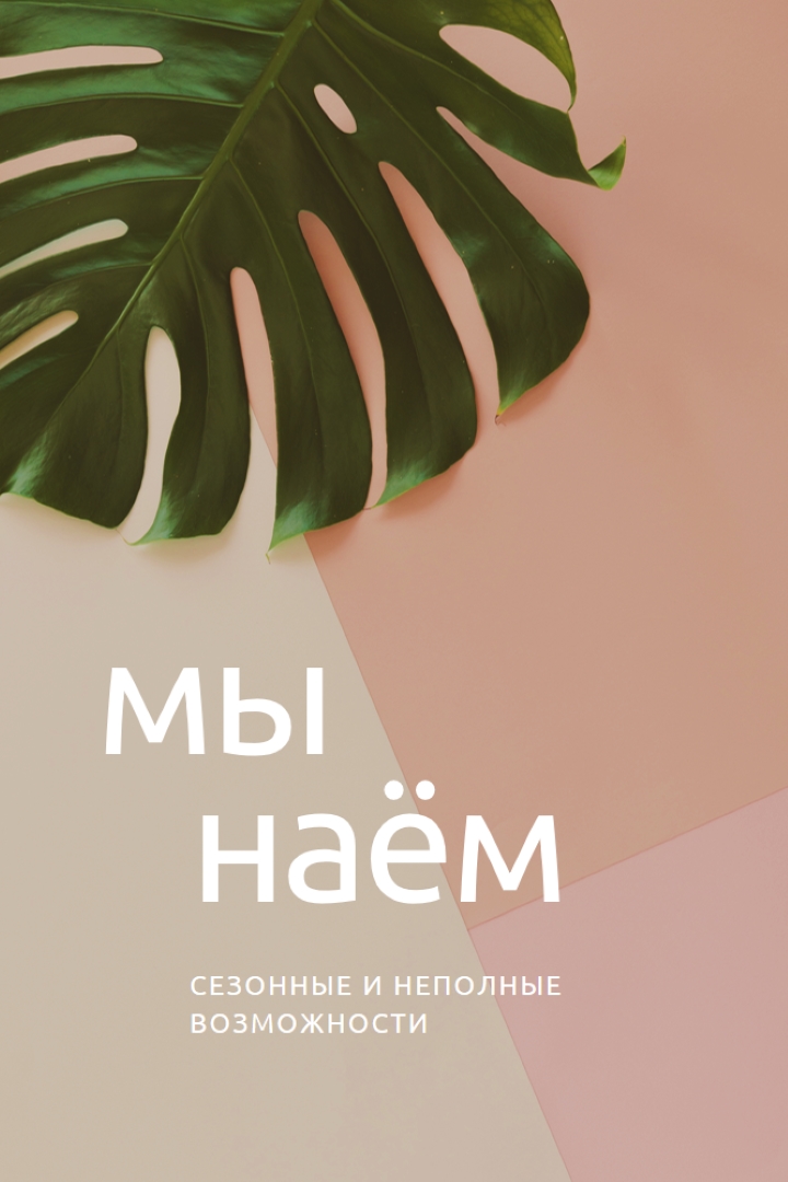 Мы нанимаем сезонных работников pink modern-simple