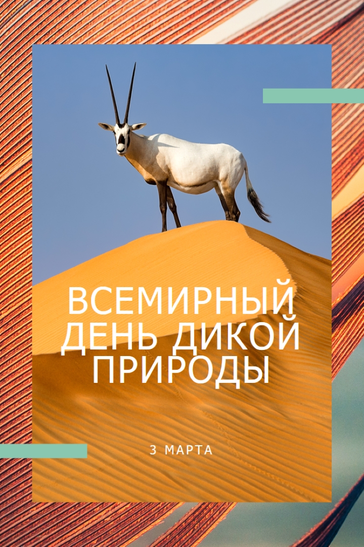 Празднование дикой природы orange modern-bold