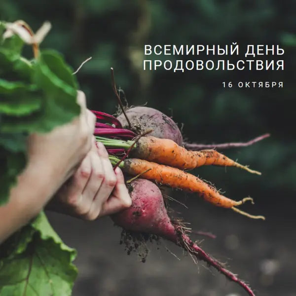 Празднование Всемирного дня продовольствия green modern-simple