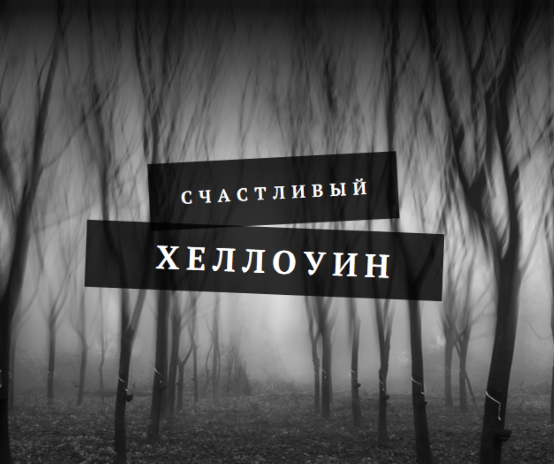 Шварцвальд gray modern-simple