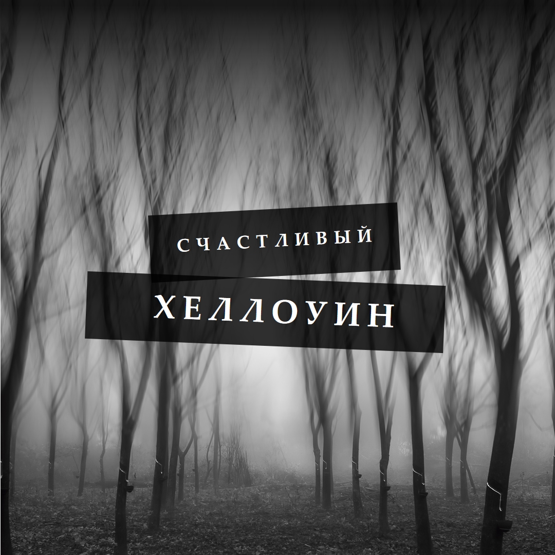 Шварцвальд gray modern-simple