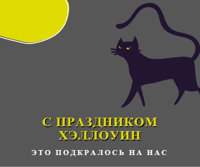 Жуткий кот black whimsical-color-block