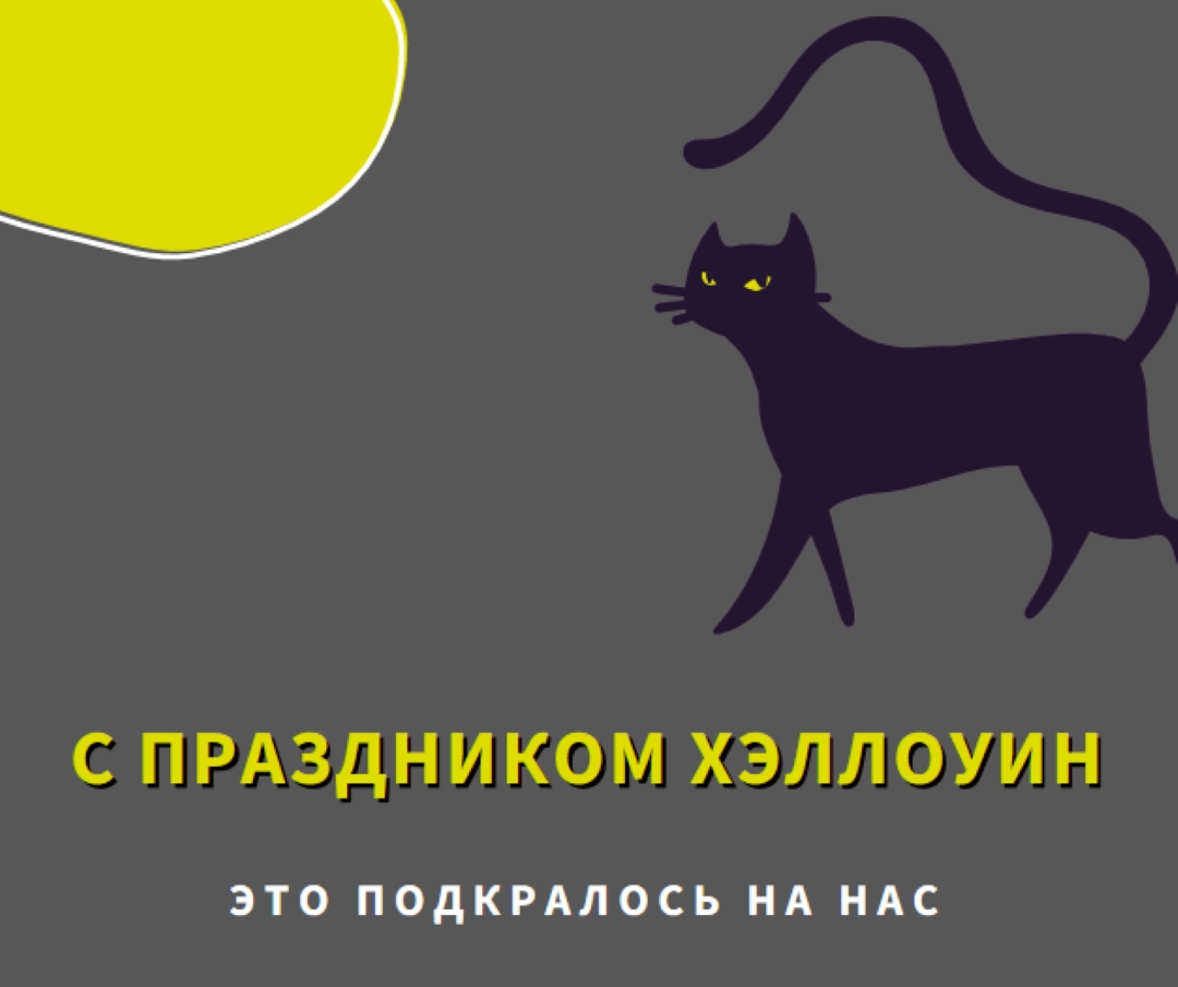 Жуткий кот black whimsical-color-block
