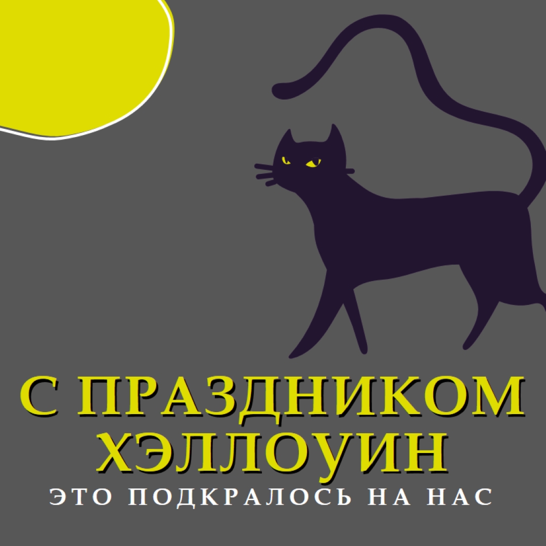 Жуткий кот black whimsical-color-block