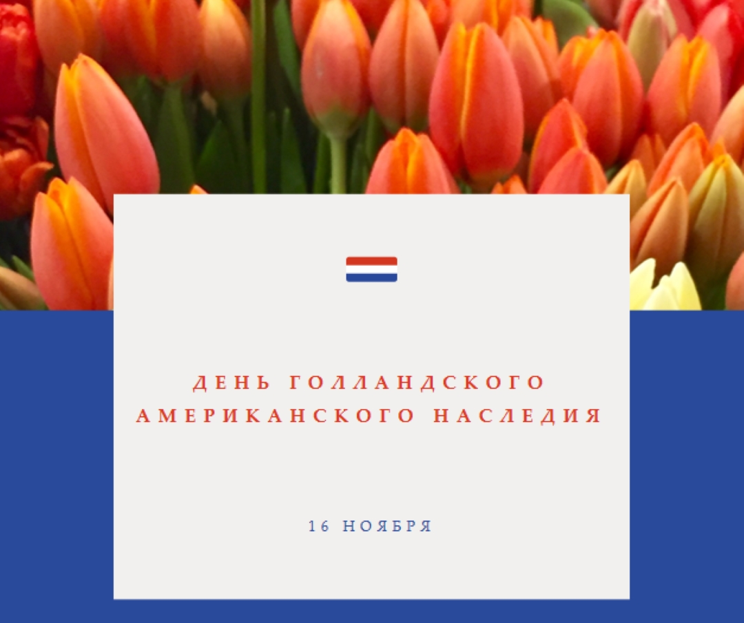 Празднование голландских корней orange modern-simple