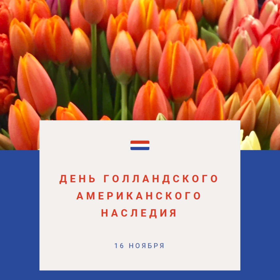 Празднование голландских корней orange modern-simple