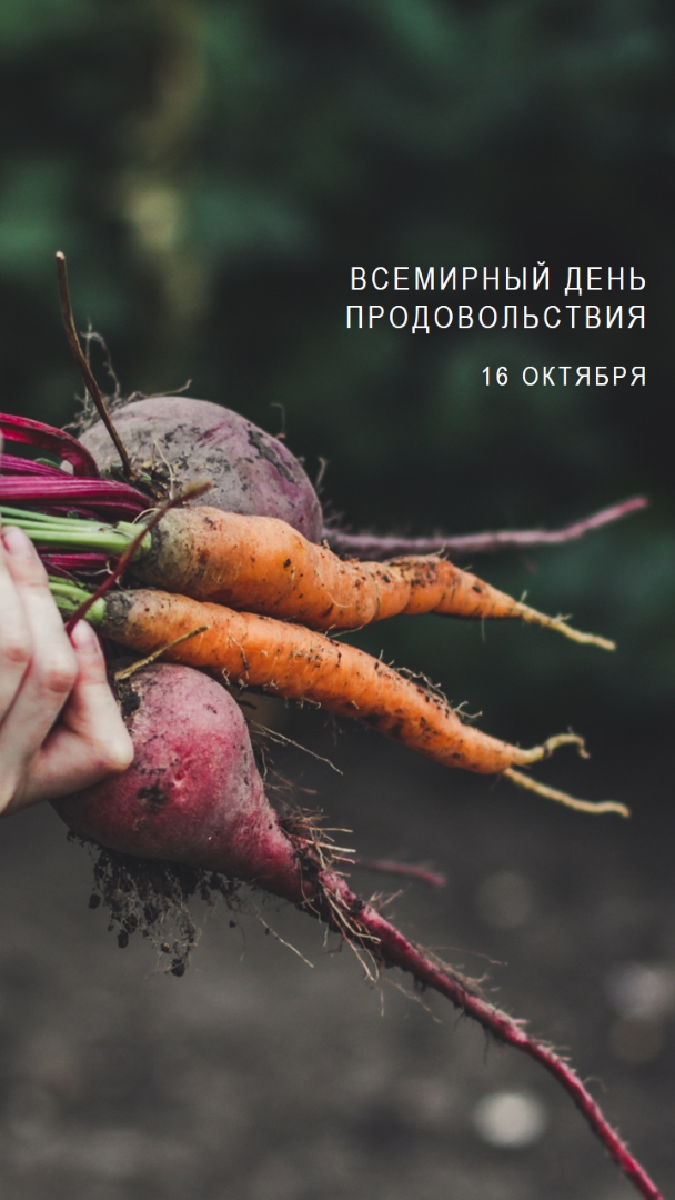 Празднование Всемирного дня продовольствия green modern-simple