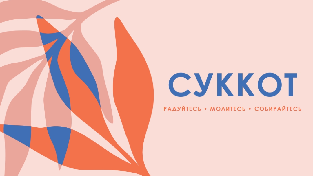 Радость этот Суккот pink organic-simple