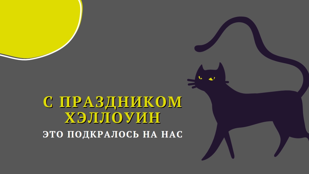 Жуткий кот black whimsical-color-block