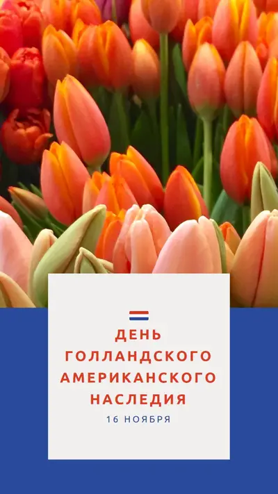 Празднование голландских корней orange modern-simple