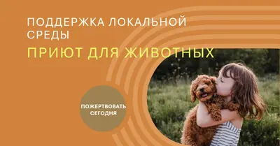 Помощник по укрытию orange whimsical-color-block