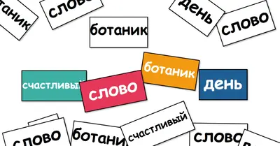 наблюдатель Word white modern-simple
