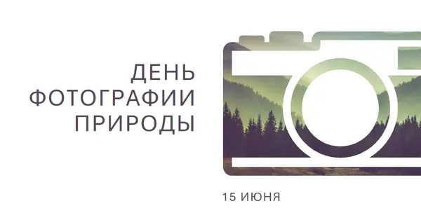 День фотографии природы white modern-simple