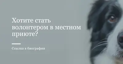 Доброволец и принеси ура blue modern-simple