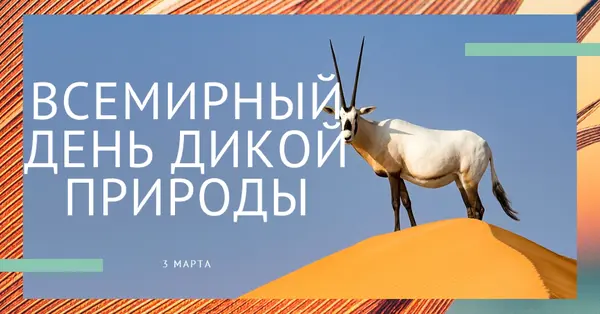 Празднование дикой природы orange modern-bold