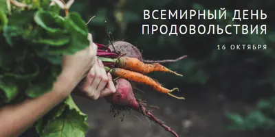 Празднование Всемирного дня продовольствия green modern-simple