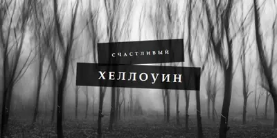 Шварцвальд gray modern-simple