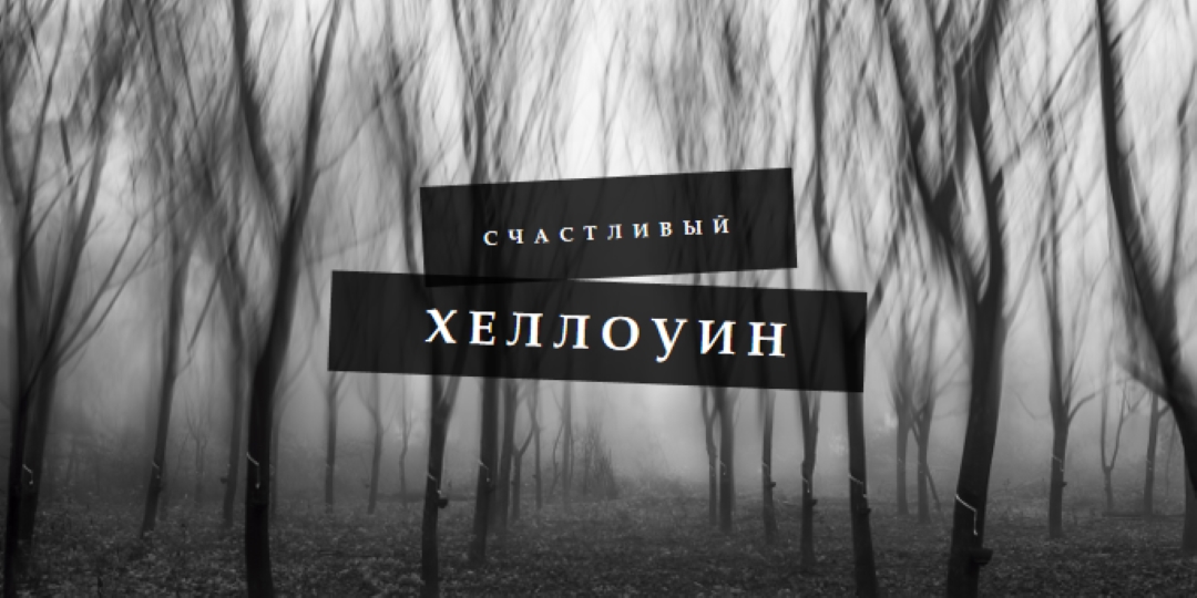 Шварцвальд gray modern-simple