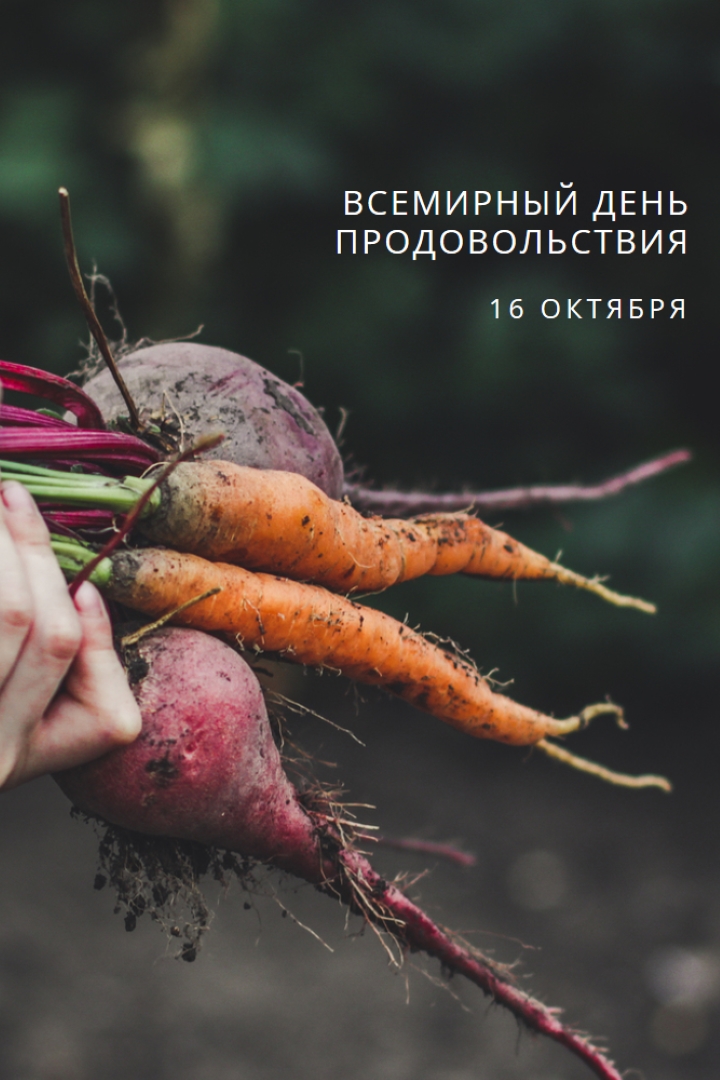 Празднование Всемирного дня продовольствия green modern-simple