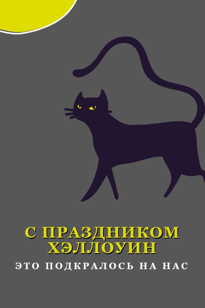Жуткий кот black whimsical-color-block