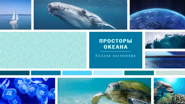 Коллаж настроения modern simple