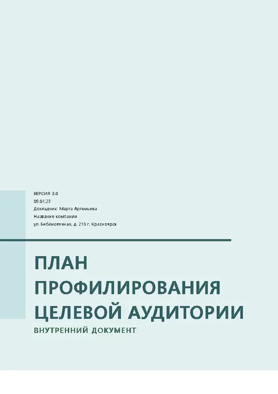 План профилирования целевой аудитории modern simple