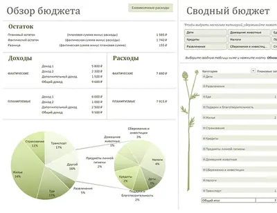 Семейный бюджет (месячный) modern simple