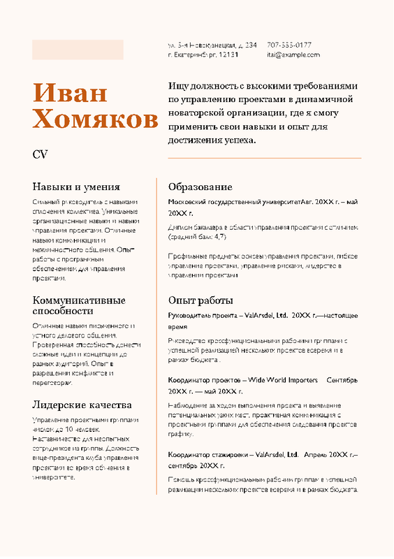 Резюме orange modern color block