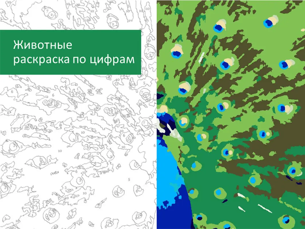 Раскраска животных по цифрам
