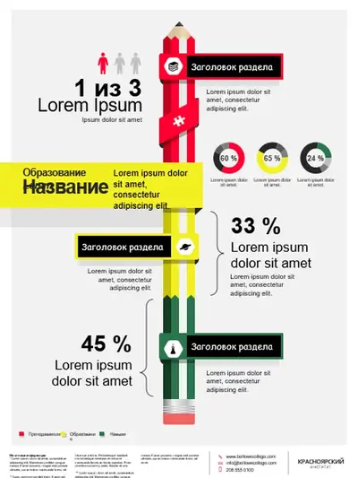 Плакат с инфографикой об образовании modern-bold