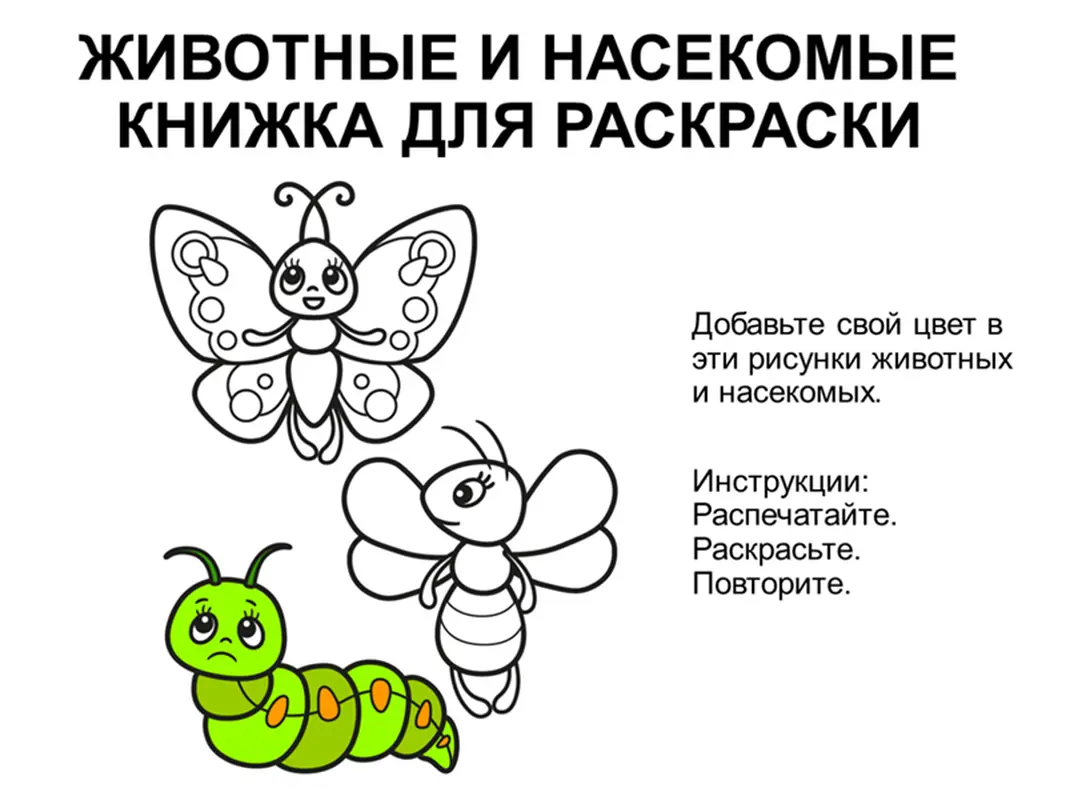 Раскраска с животными и насекомыми
