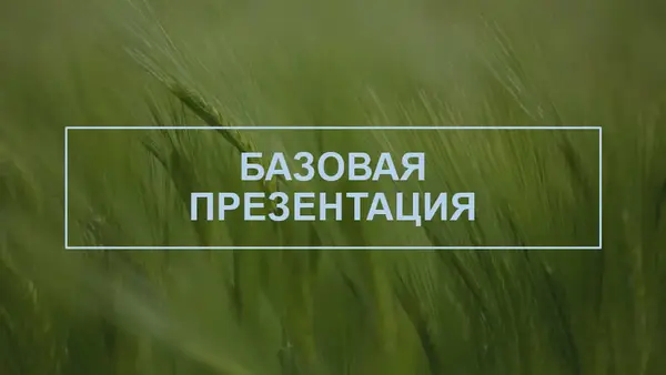 Презентация в красочном исполнении green modern-simple