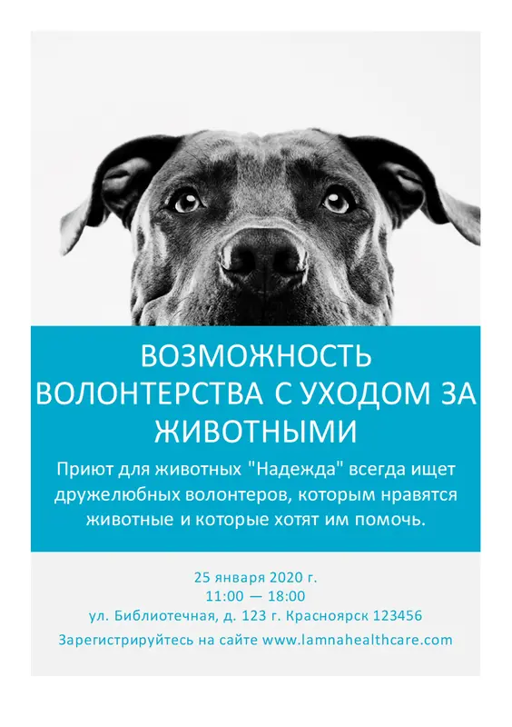 Листовка для волонтеров, желающих ухаживать за животными modern-simple