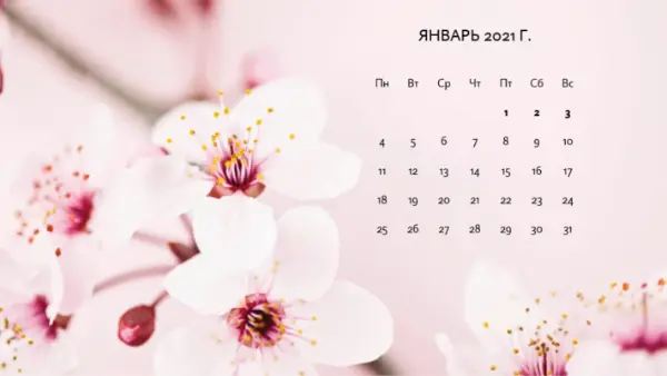 Календарь с фотографиями цветов modern-simple