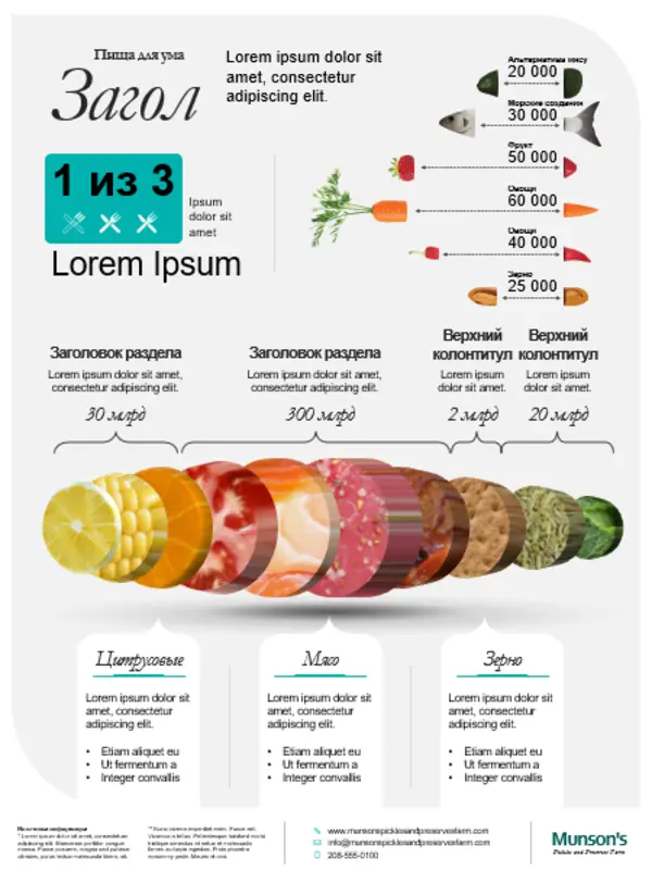 Плакат с инфографикой о еде gray modern-simple
