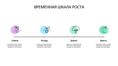 Временная шкала роста modern-simple