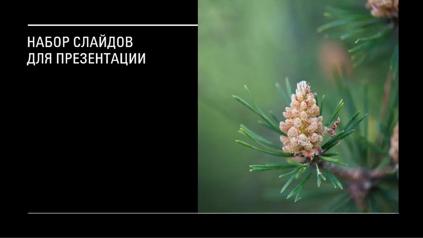 Оформление "Хроника" modern-simple