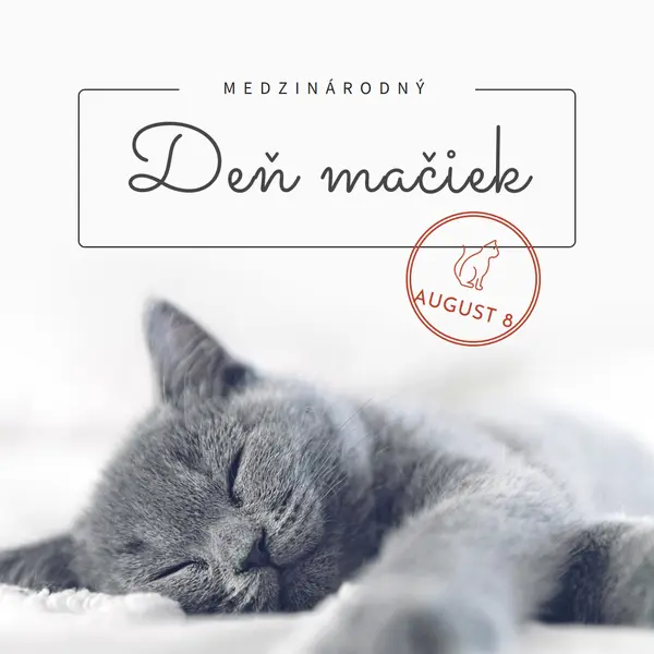 Zdriemnutie mačiek gray modern-simple