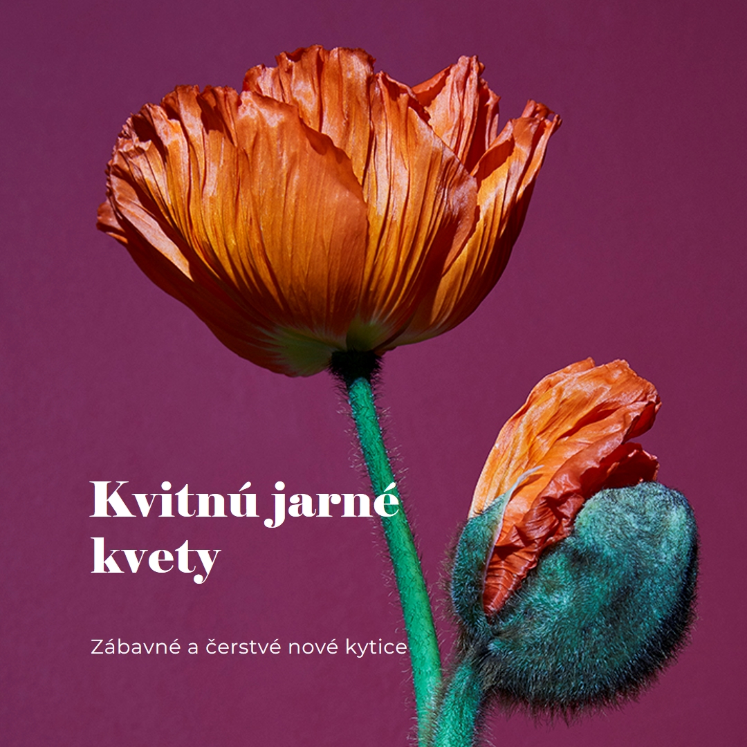 Čerstvé kvety purple modern-simple