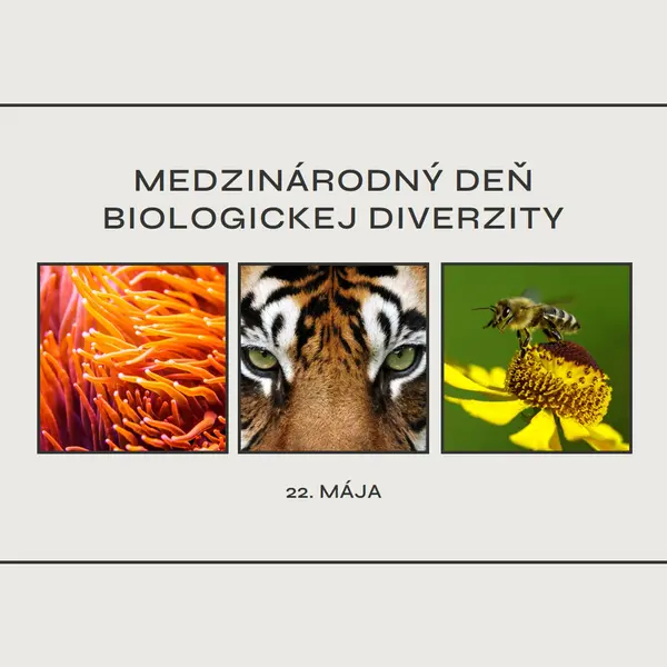 Oživenie prírody gray modern-simple