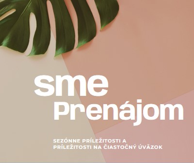 Prijímame sezónnych pracovníkov pink modern-simple