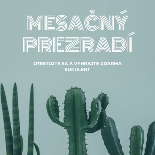 Mesačný kvíz prezradí green modern-simple