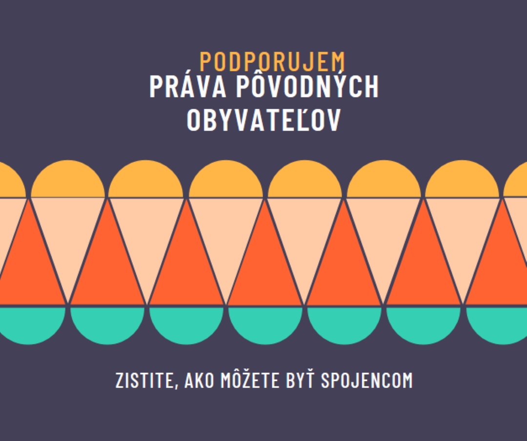 Podpora práv pôvodných obyvateľov blue modern-color-block