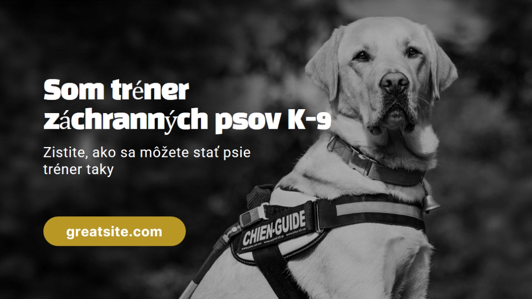 Som tréner záchranných psov black modern-simple