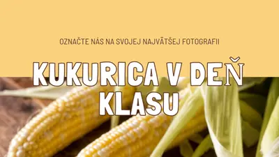 Cob komando yellow modern-simple